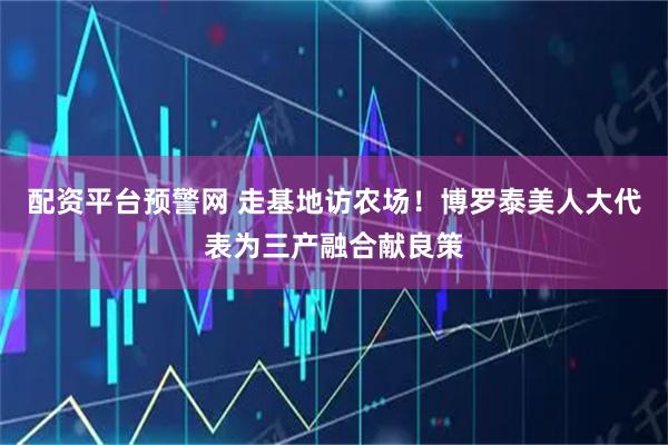 配资平台预警网 走基地访农场！博罗泰美人大代表为三产融合献良策