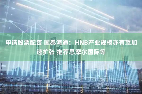 申请股票配资 国泰海通：HNB产业规模亦有望加速扩张 推荐思摩尔国际等