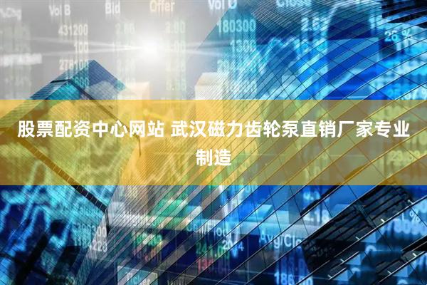 股票配资中心网站 武汉磁力齿轮泵直销厂家专业制造